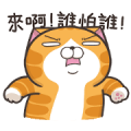Lan Lan Cat: Being Quiet Is Not My Style
