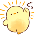 Soft and cute chick