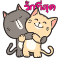 Boogy Tamy: Partial Emotion Boogy Tamy: Partial Emotion