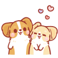 Corgi KaKa: Sweet Couple Daily Life