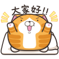 Lan Lan Cat Chubby Stickers Lan Lan Cat Chubby Stickers