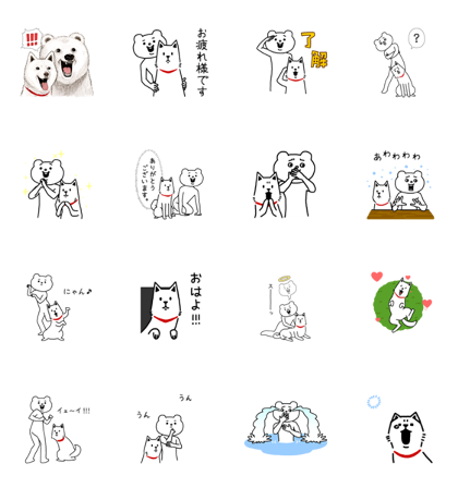 Aggressive Bear Betakkuma × Otosan Line Sticker GIF & PNG Pack: Animated & Transparent No Background | WhatsApp Sticker