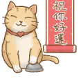 Cats LifeStyle – Sometimes Cats LifeStyle – Sometimes