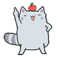 Chinchilla Chinchilla