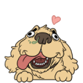 Cubi the Good Boi Cubi the Good Boi