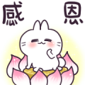 Cute Rabbit - Say Hi! Sticker for LINE & WhatsApp | ZIP: GIF & PNG