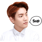 EXO BAEKHYUN Special Sticker for LINE & WhatsApp | ZIP: GIF & PNG