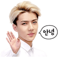EXO SE HUN Special Sticker for LINE & WhatsApp | ZIP: GIF & PNG