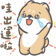 Hi John & Shiba Live Show Hi John & Shiba Live Show Sticker for LINE & WhatsApp | ZIP: GIF & PNG