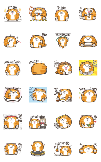 Lan Lan Cat Chubby Stickers Line Sticker GIF & PNG Pack: Animated & Transparent No Background | WhatsApp Sticker