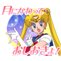 Pretty Guardian Sailor Moon (Animated)