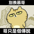 Sinko the Cat: Moving Cats Talkin’ Trash