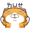 Lan Lan Cat: Get Excited! Sticker for LINE & WhatsApp | ZIP: GIF & PNG