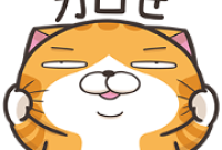 Lan Lan Cat: Get Excited! Sticker for LINE & WhatsApp | ZIP: GIF & PNG