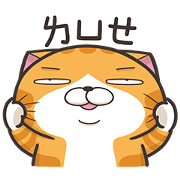 Lan Lan Cat: Get Excited! Sticker for LINE & WhatsApp | ZIP: GIF & PNG