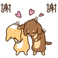 Mungs: Hurry, Bow! Busy, Wow! Sticker for LINE & WhatsApp | ZIP: GIF & PNG