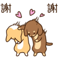 Mungs: Hurry, Bow! Busy, Wow! Mungs: Hurry, Bow! Busy, Wow!