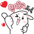N9: CHEER Rabbit Animated