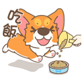 Corgi Pon Pon loves to eat! Corgi Pon Pon loves to eat!