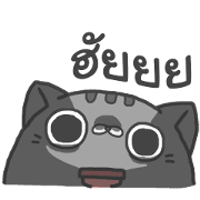 SLID CATS SLID CATS Sticker for LINE & WhatsApp | ZIP: GIF & PNG