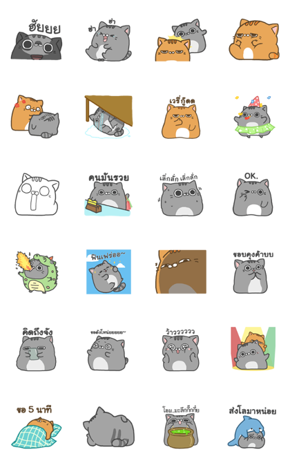 SLID CATS Line Sticker GIF & PNG Pack: Animated & Transparent No Background | WhatsApp Sticker