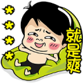 Siao He: Custom Stickers