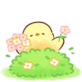 Soft and Cute Chick Pop-Up Stickers Sticker for LINE & WhatsApp | ZIP: GIF & PNG