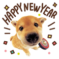 THE DOG New Year’s Greetings THE DOG New Year’s Greetings