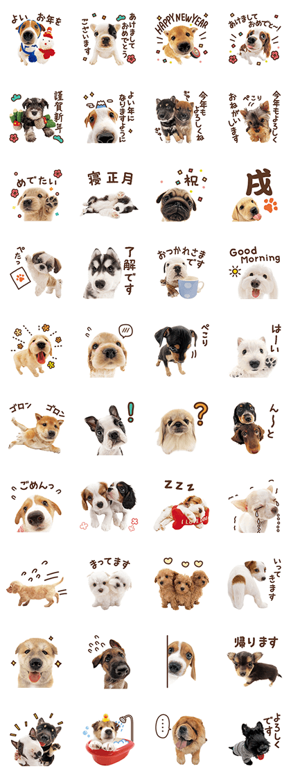 THE DOG New Year's Greetings Line Sticker GIF & PNG Pack: Animated & Transparent No Background | WhatsApp Sticker