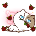 Tofu Cat Animated 2 Sticker for LINE & WhatsApp | ZIP: GIF & PNG