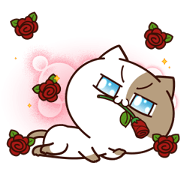 Tofu Cat Animated 2 Sticker for LINE & WhatsApp | ZIP: GIF & PNG
