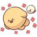 Cute and Confident! Dow-Dow Cute and Confident! Dow-Dow