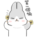 Moving Machiko Rabbit