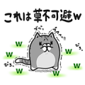 Plump Cat x LINE Blog Sticker for LINE & WhatsApp | ZIP: GIF & PNG