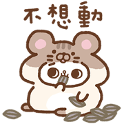 SONG SONG MEOW CNY Stickers (2020) SONG SONG MEOW CNY Stickers Sticker for LINE & WhatsApp | ZIP: GIF & PNG