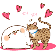 DG × Stinging Tongue Seal Sticker for LINE & WhatsApp | ZIP: GIF & PNG