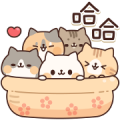 Full of Cats Animated Stickers 3