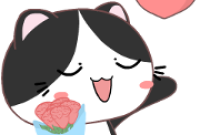 Kocheng Squad: Animated Sticker for LINE & WhatsApp | ZIP: GIF & PNG