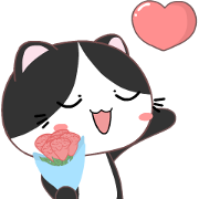Kocheng Squad: Animated Sticker for LINE & WhatsApp | ZIP: GIF & PNG