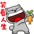 Meow Zhua Zhua – No. 14 –
