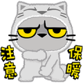 Meow Zhua Zhua – No. 7