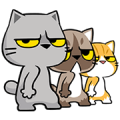 Meow Zhua Zhua – Part 11