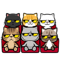 Meow Zhua Zhua – Part 4 Meow Zhua Zhua – Part 4