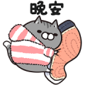 Plump Cat in Winter