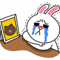 Cony: Special Edition