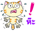 Cool Happy Cats: Be Happy Together