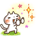 DoCLASSE × Simple white cat (SHIRONEKO)