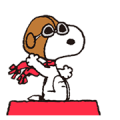 Snoopy in Disguise