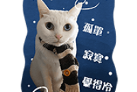 Soybean Milk & Jun Ron Cat 1 Sticker for LINE & WhatsApp | ZIP: GIF & PNG