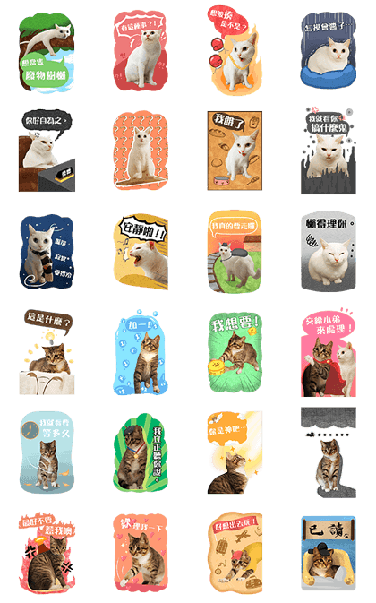 Soybean Milk & Jun Ron Cat 1 Line Sticker GIF & PNG Pack: Animated & Transparent No Background | WhatsApp Sticker